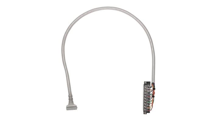 1492-CAB025B69 Allen-Bradley 12-Mont