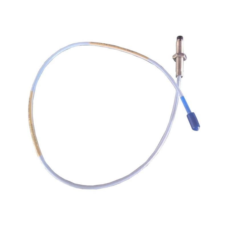 Bently Nevada 330103-00-19-10-12-RU Original