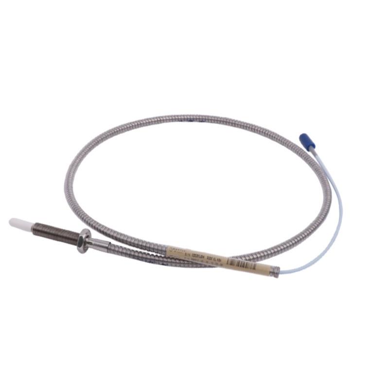 Bently Nevada 330910-00-12-10-02-00 12-Month Warranty