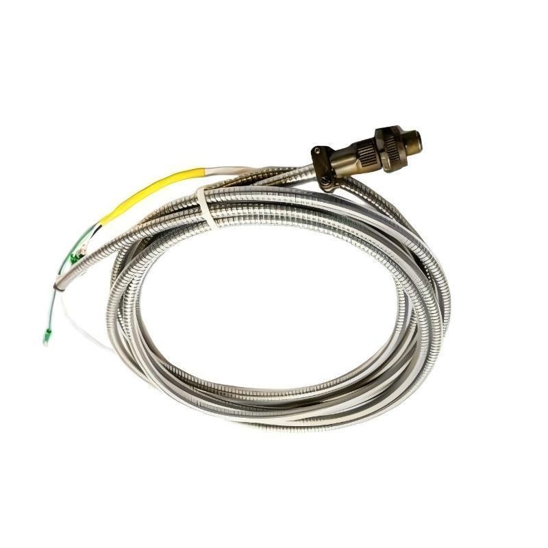 Bently Nevada 84661-10 12-Month Warranty