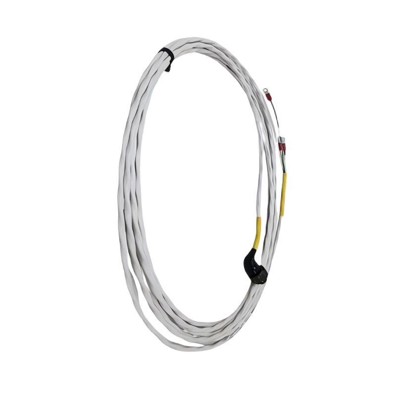 Bently Nevada 89477-80 New In Stock